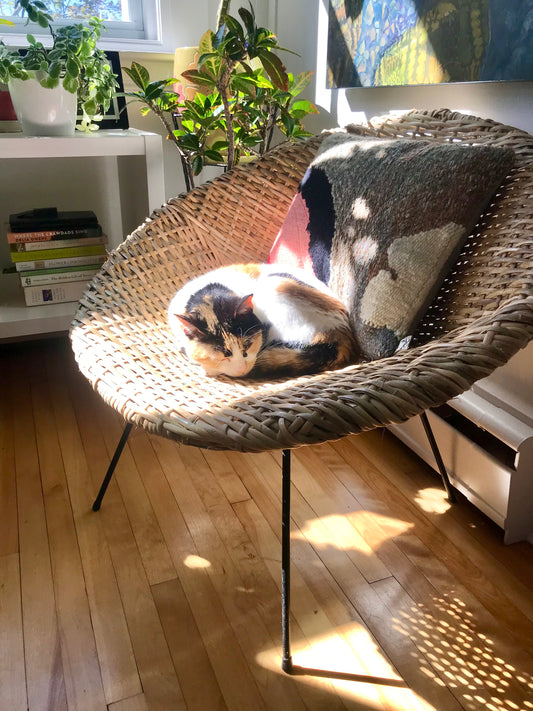 Over the Rainbow tapestry pillow: Rainbow Connection 2