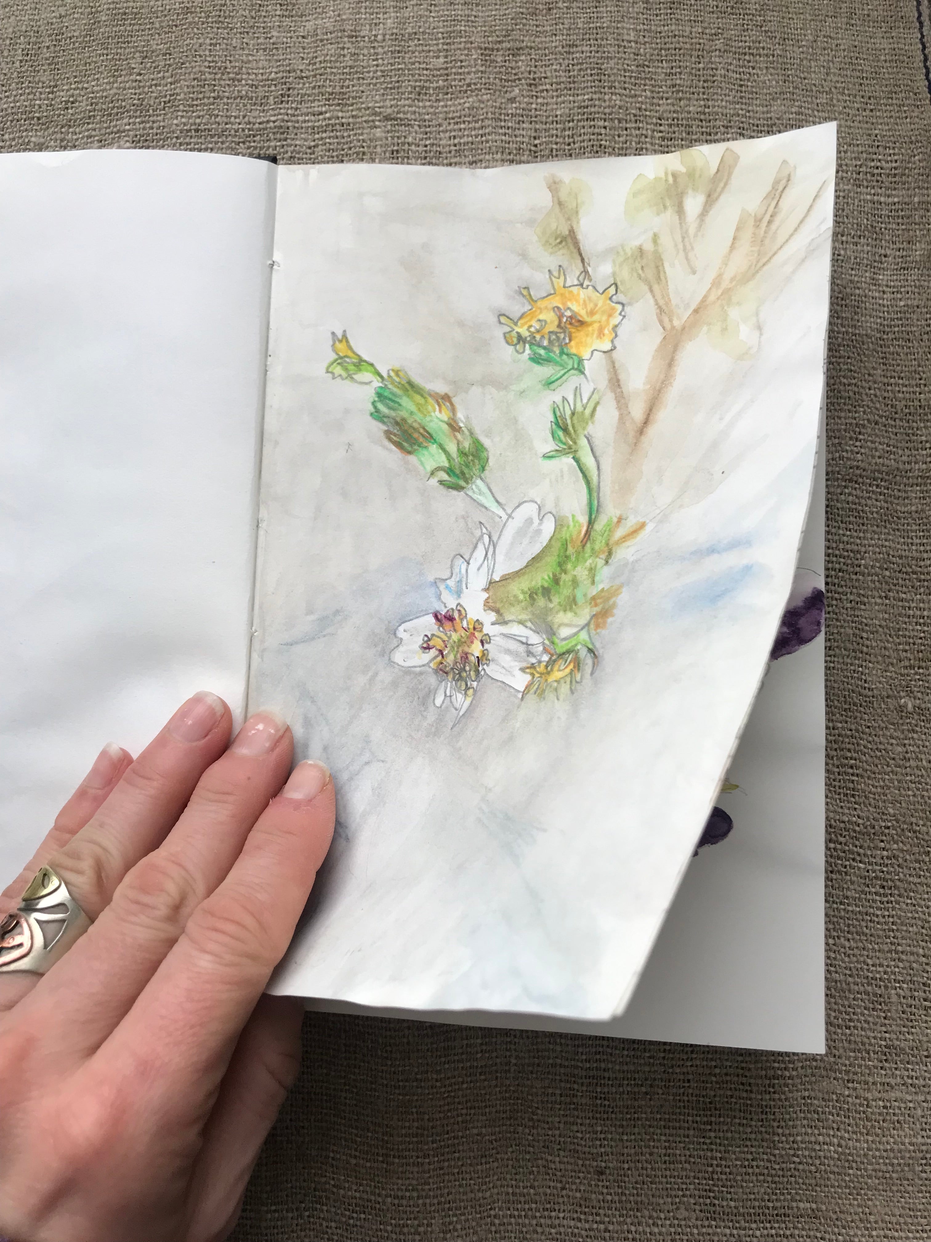 Keeping creativity alive – Andrea Butler Designs